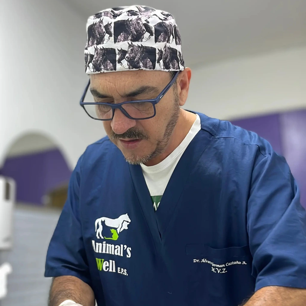 Acceso a especialistas veterinarios